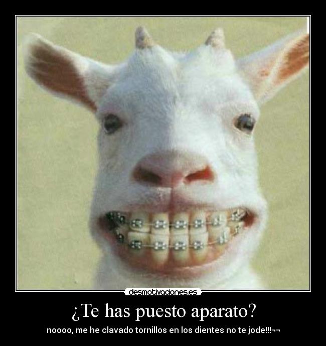 carteles rodriyo cahimbero1996 desmotivaciones