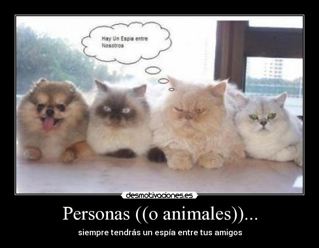 Personas ((o animales))... -