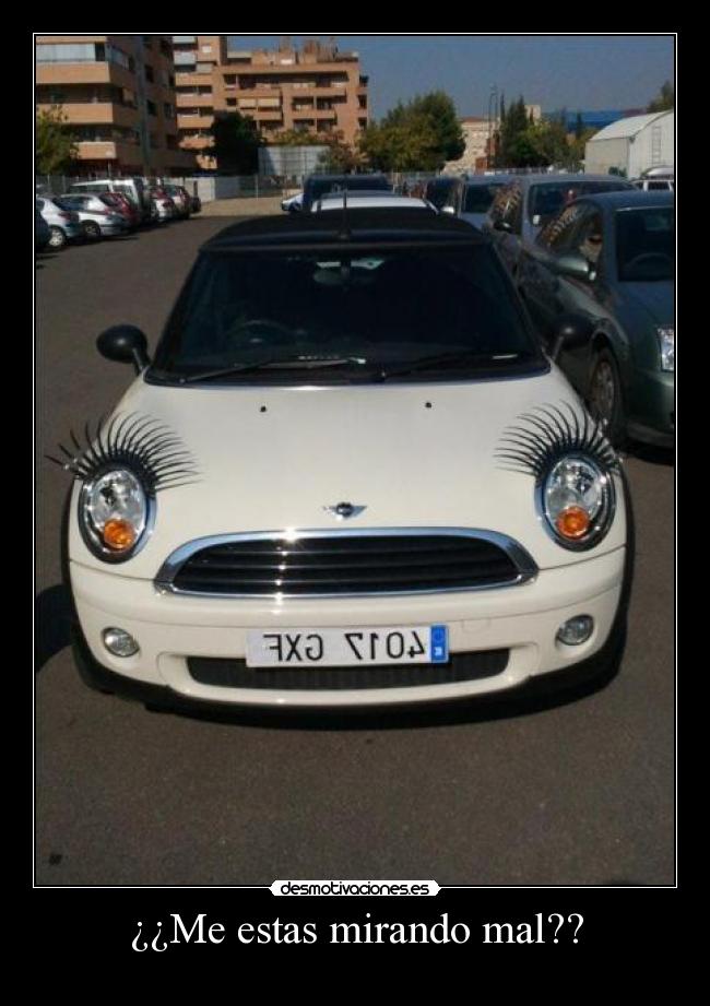 ¿¿Me estas mirando mal?? - 