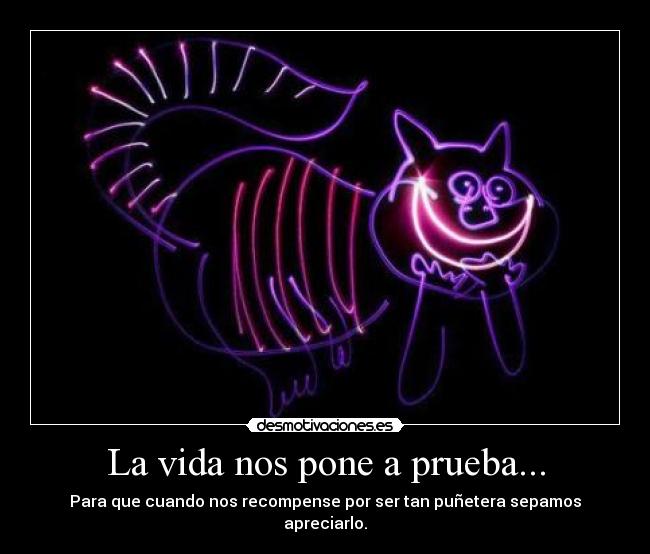 La vida nos pone a prueba... - Para que cuando nos recompense por ser tan puñetera sepamos apreciarlo.