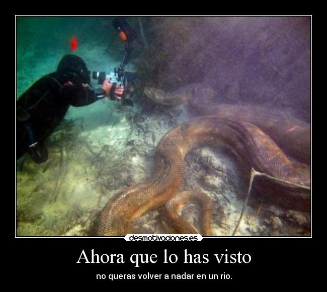 Ahora que lo has visto - no queras volver a nadar en un rio.