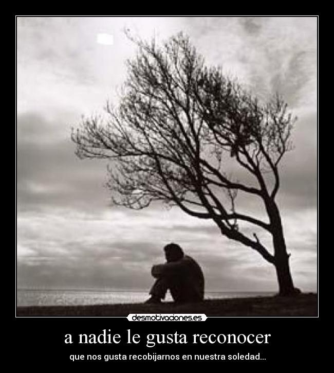 carteles coas_adh_xx11 desmotivaciones