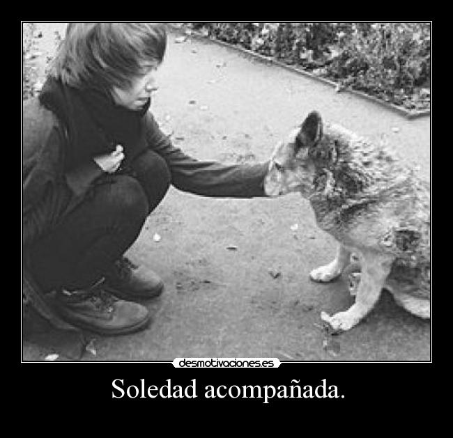 Soledad acompañada. - 