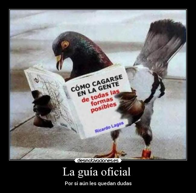 La guía oficial - Por si aún les quedan dudas