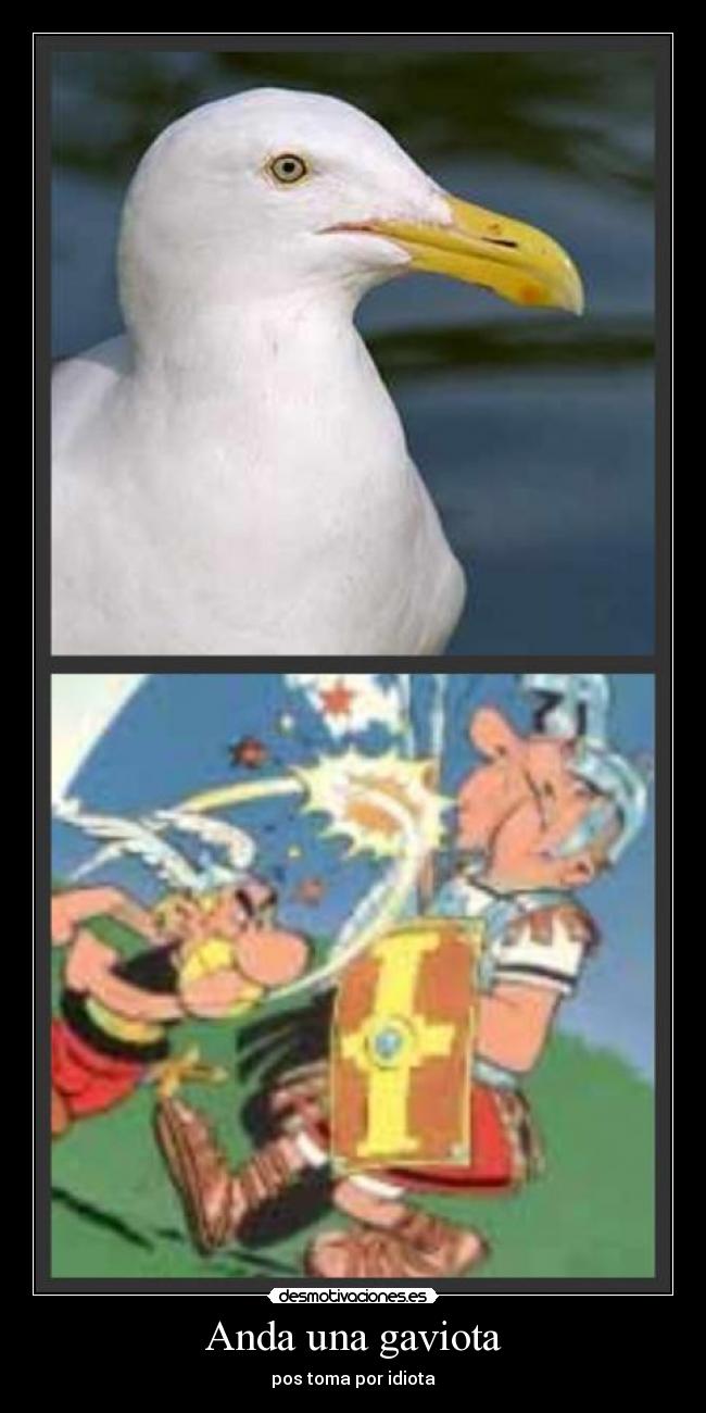 Anda una gaviota - 