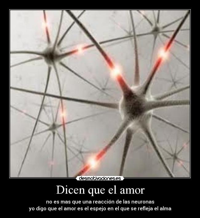 carteles amor lauriita xikitita desmotivaciones