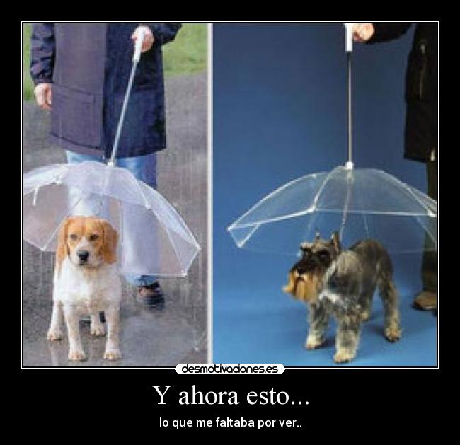 Y ahora esto... - lo que me faltaba por ver..