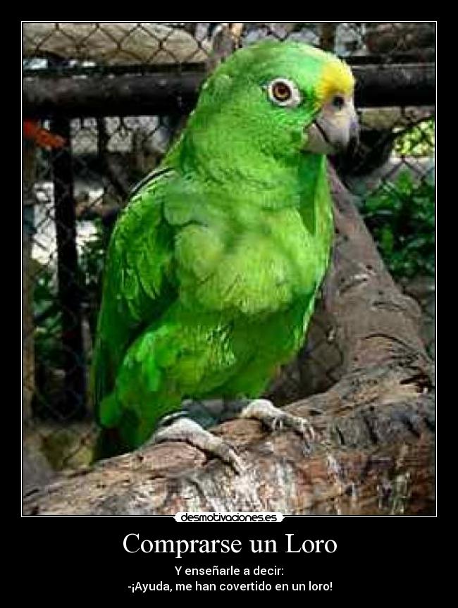 carteles seria genial desmotivaciones