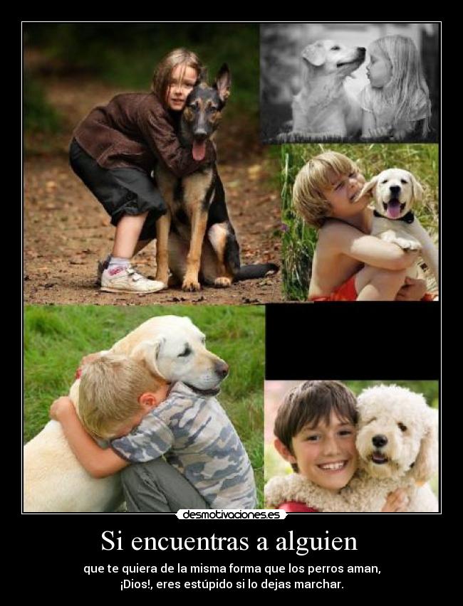 Si encuentras a alguien  - que te quiera de la misma forma que los perros aman,
¡Dios!, eres estúpido si lo dejas marchar.