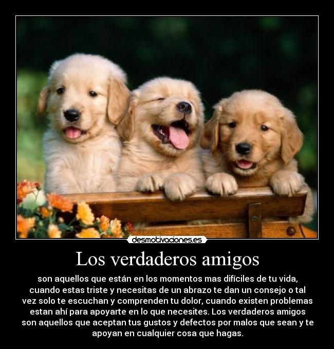 Los verdaderos amigos - son aquellos que están en los momentos mas difíciles de tu vida,
cuando estas triste y necesitas de un abrazo te dan un consejo o tal
vez solo te escuchan y comprenden tu dolor, cuando existen problemas
estan ahí para apoyarte en lo que necesites. Los verdaderos amigos
son aquellos que aceptan tus gustos y defectos por malos que sean y te
apoyan en cualquier cosa que hagas.