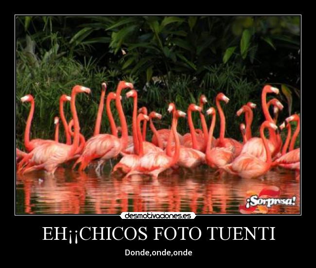 EH¡¡CHICOS FOTO TUENTI - 