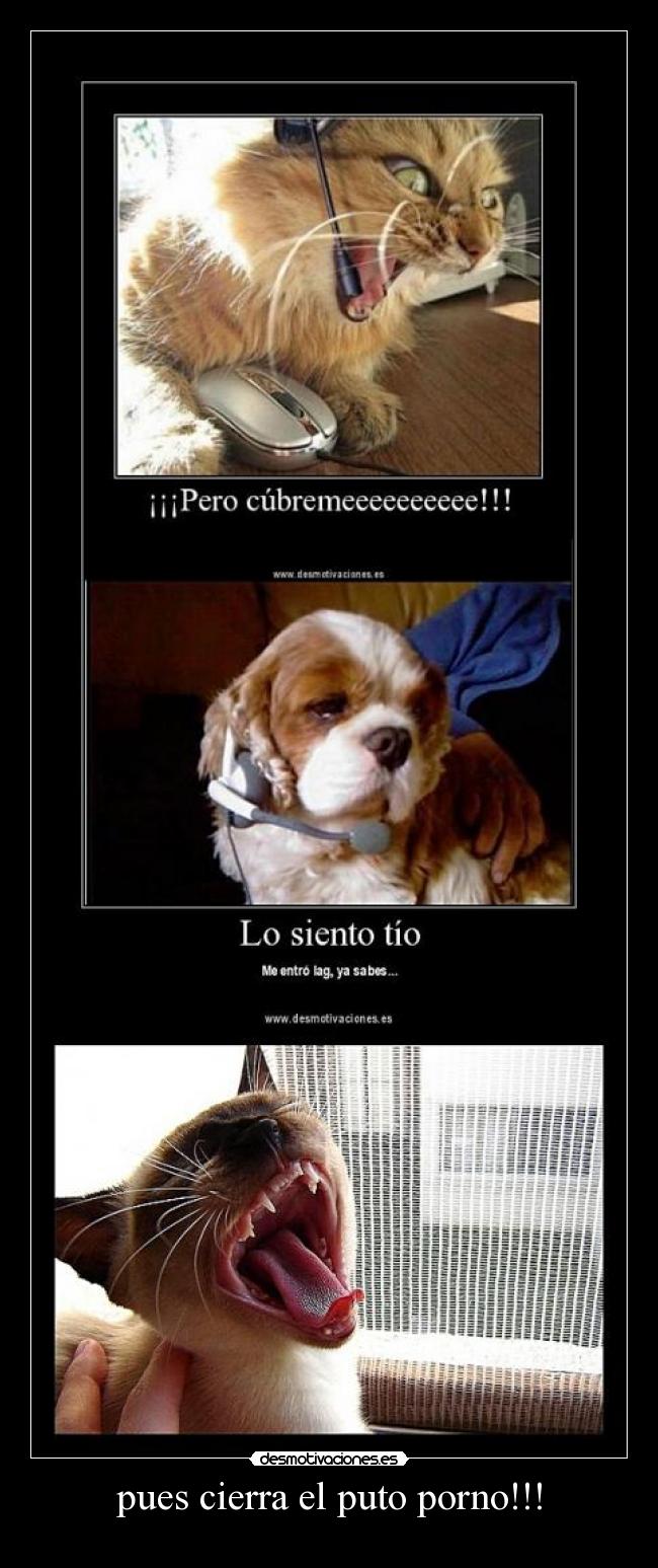pues cierra el puto porno!!! - 