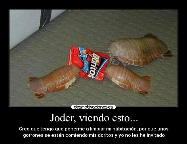 Joder, viendo esto... - Creo que tengo que ponerme a limpiar mi habitación, por que unos
gorrones se están comiendo mis doritos y yo no les he invitado