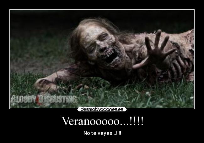 Veranooooo...!!!! - 