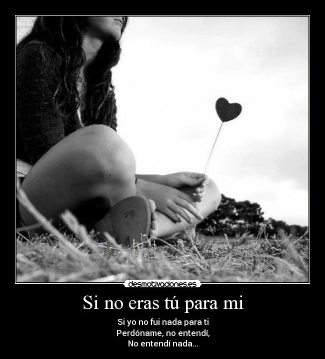 carteles eras tu para mi fui nada para perdoname entendi entendi nada desmotivaciones