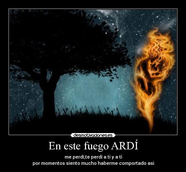 En este fuego ARDÍ - me perdí,te perdí a ti y a ti
por momentos siento mucho haberme comportado asi