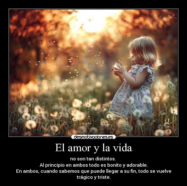 El amor y la vida - no son tan distintos. 
Al principio en ambos todo es bonito y adorable.
En ambos, cuando sabemos que puede llegar a su fin, todo se vuelve trágico y triste.