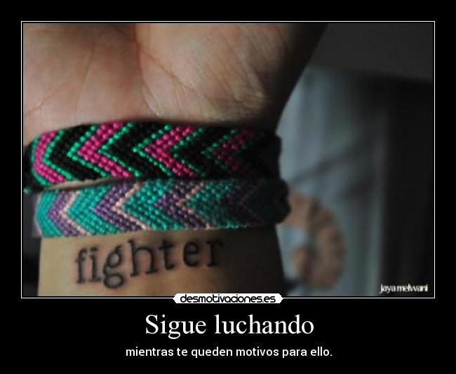 Sigue luchando - 