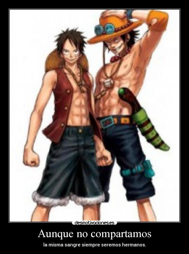 carteles one piece luffy ace desmotivaciones