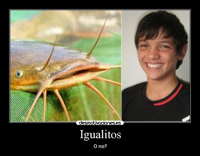 Igualitos -