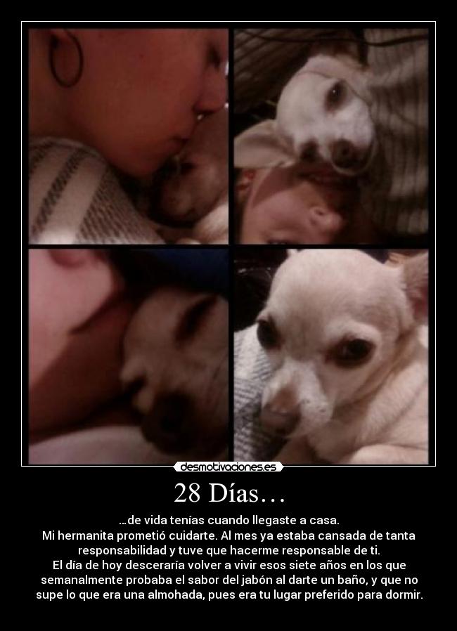 28 Días… - 
