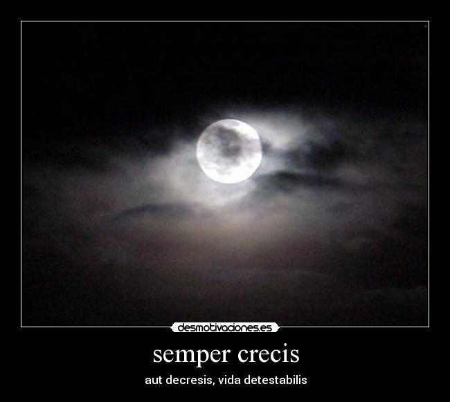 carteles acertijo vez cuando por hacer tonterias desmotivaciones