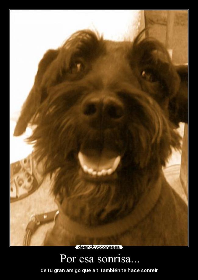 Por esa sonrisa... -