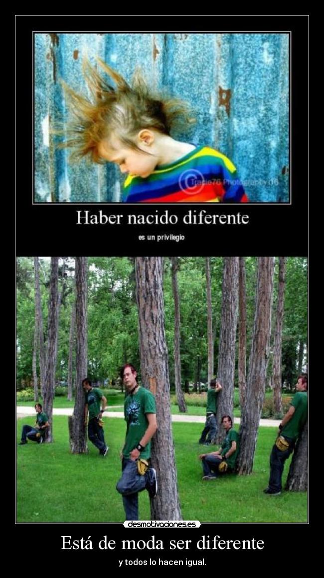 Está de moda ser diferente - 