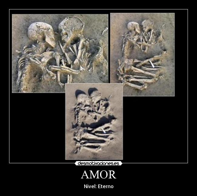 AMOR - 