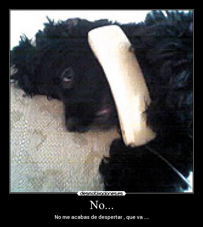 No... - No me acabas de despertar , que va ....