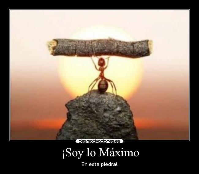 ¡Soy lo Máximo - 