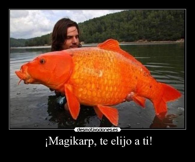 ¡Magikarp, te elijo a ti! -