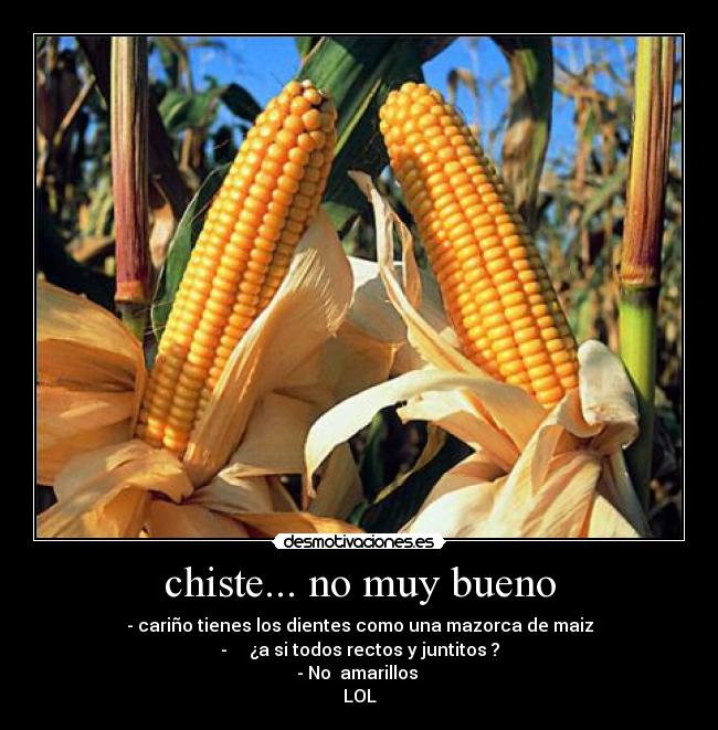 chiste... no muy bueno - - cariño tienes los dientes como una mazorca de maiz
-     ¿a si todos rectos y juntitos ?
- No  amarillos 
LOL