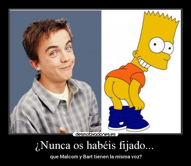 ¿Nunca os habéis fijado... - que Malcom y Bart tienen la misma voz?