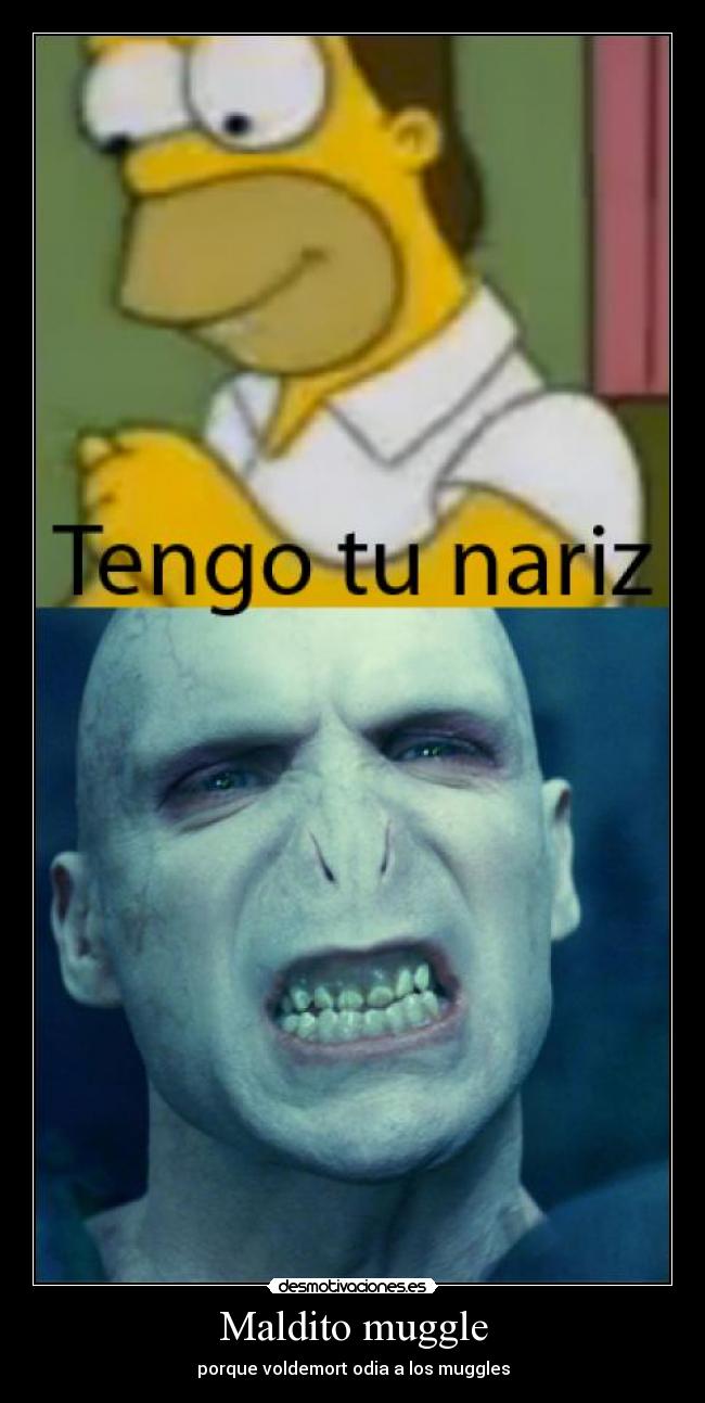 Maldito muggle -
