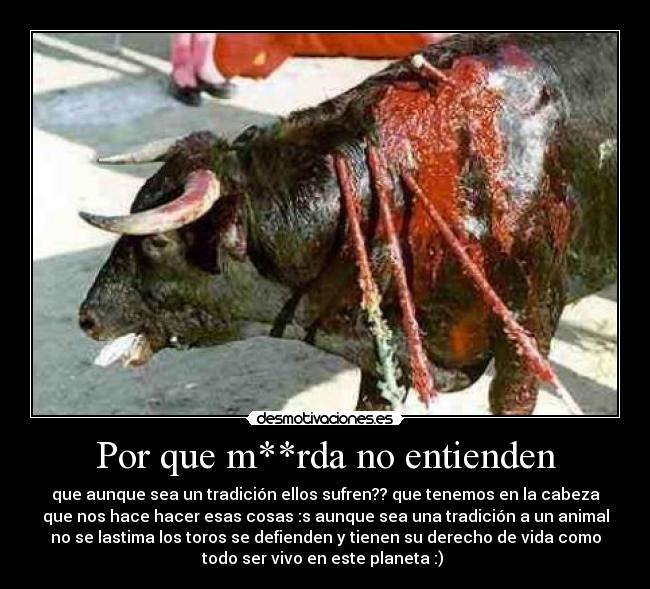 Por que m**rda no entienden - que aunque sea un tradición ellos sufren?? que tenemos en la cabeza
que nos hace hacer esas cosas :s aunque sea una tradición a un animal
no se lastima los toros se defienden y tienen su derecho de vida como
todo ser vivo en este planeta :)