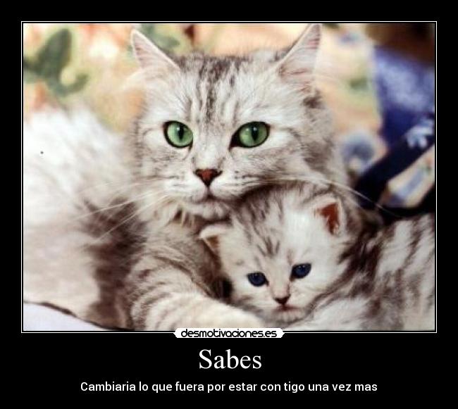 Sabes - ‎Cambiaria lo que fuera por estar con tigo una vez mas ♥