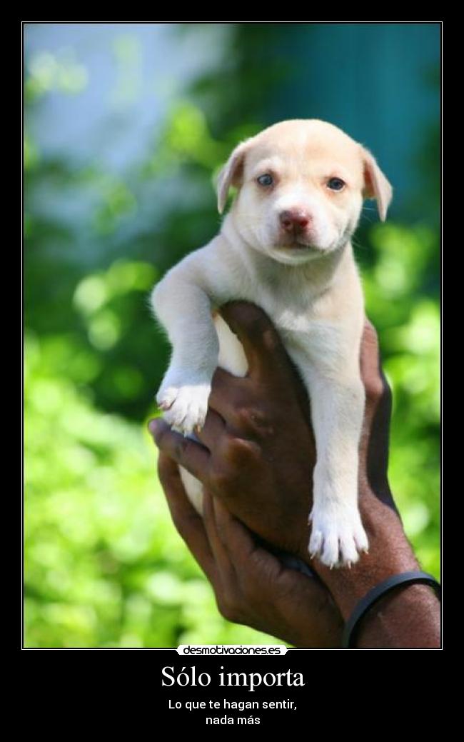 Sólo importa - Lo que te hagan sentir,
nada más