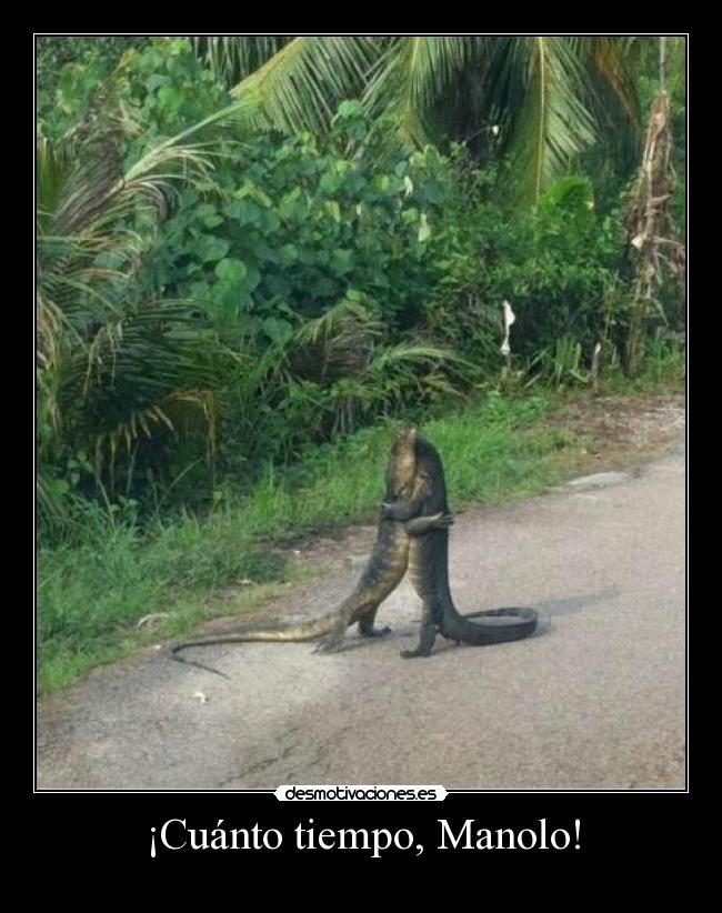 ¡Cuánto tiempo, Manolo! -