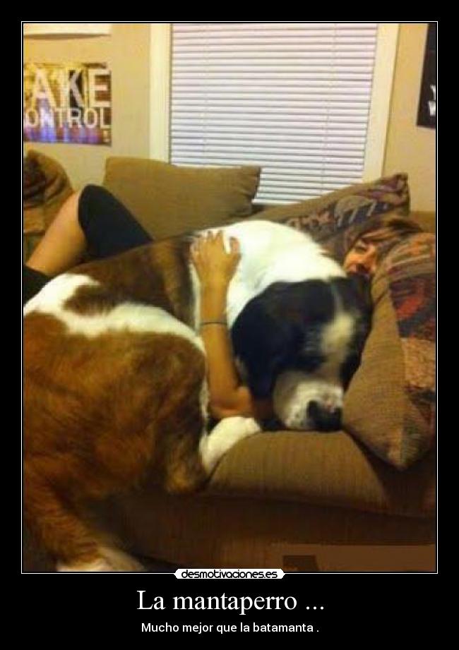 La mantaperro ... - 