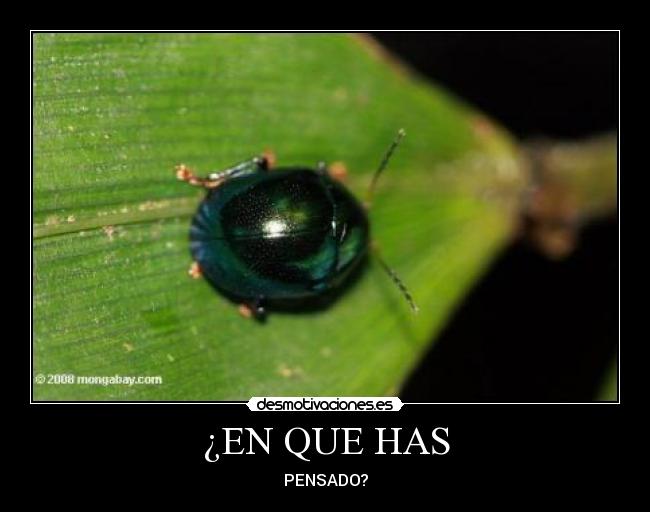¿EN QUE HAS - PENSADO?