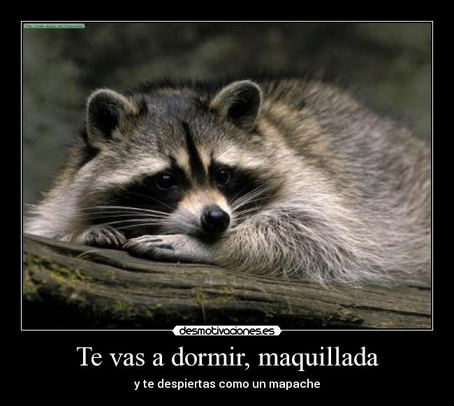 Te vas a dormir, maquillada - 