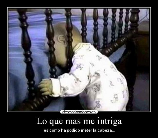 Lo que mas me intriga - es cómo ha podido meter la cabeza...