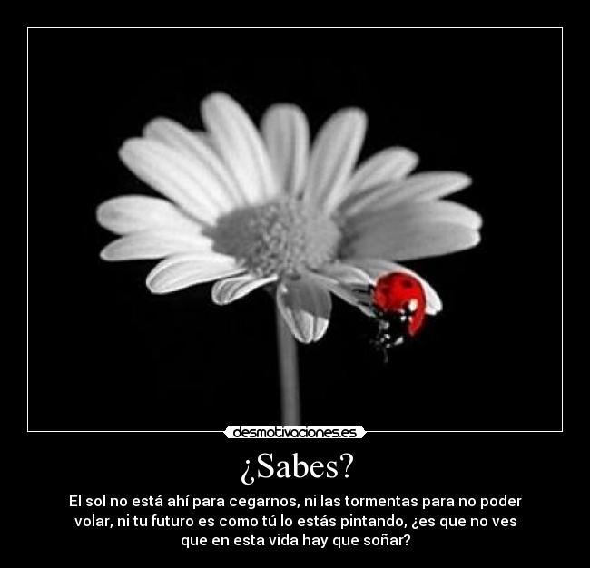 ¿Sabes? - 