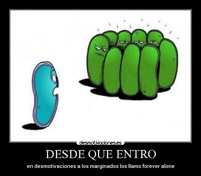 DESDE QUE ENTRO - en desmotivaciones a los marginados los llamo forever alone