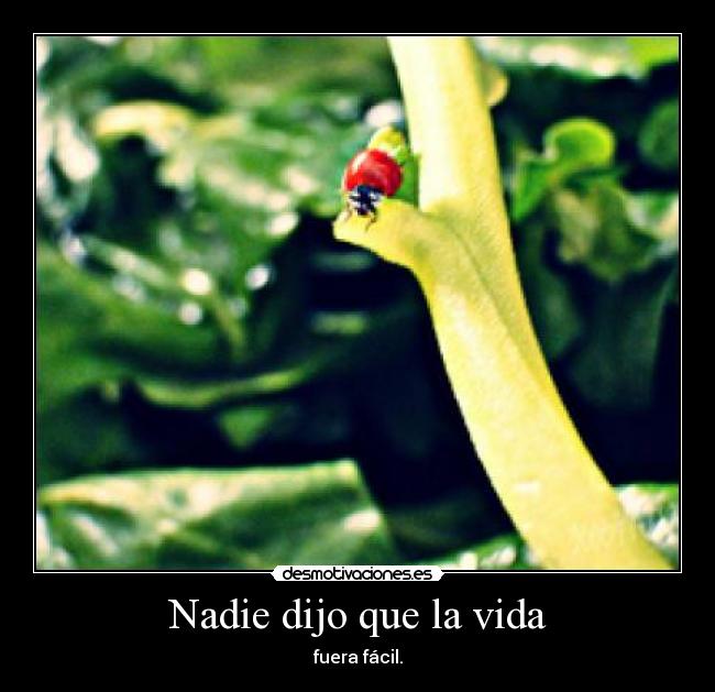 Nadie dijo que la vida -