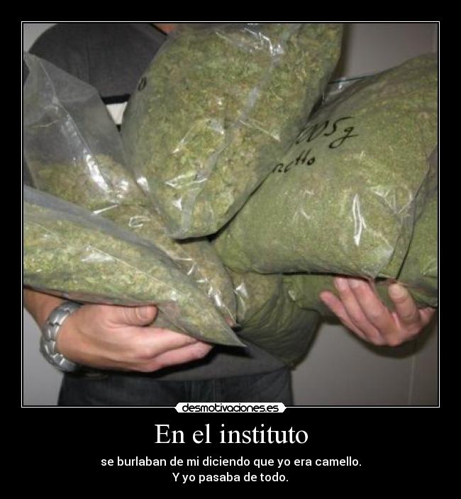 En el instituto - se burlaban de mi diciendo que yo era camello.
Y yo pasaba de todo.