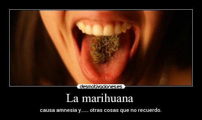 La marihuana - causa amnesia y...... otras cosas que no recuerdo.