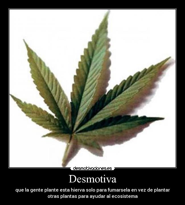 Desmotiva - que la gente plante esta hierva solo para fumarsela en vez de plantar
otras plantas para ayudar al ecosistema