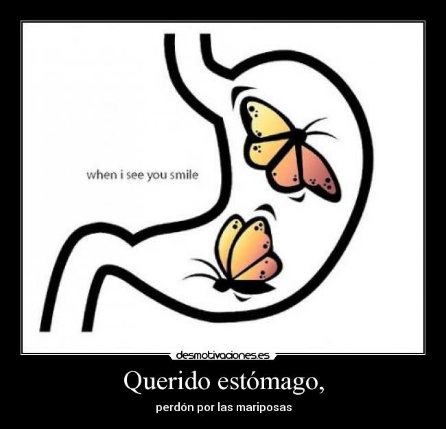 Querido estómago, - perdón por las mariposas